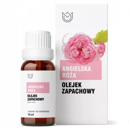 angielska-roza.webp