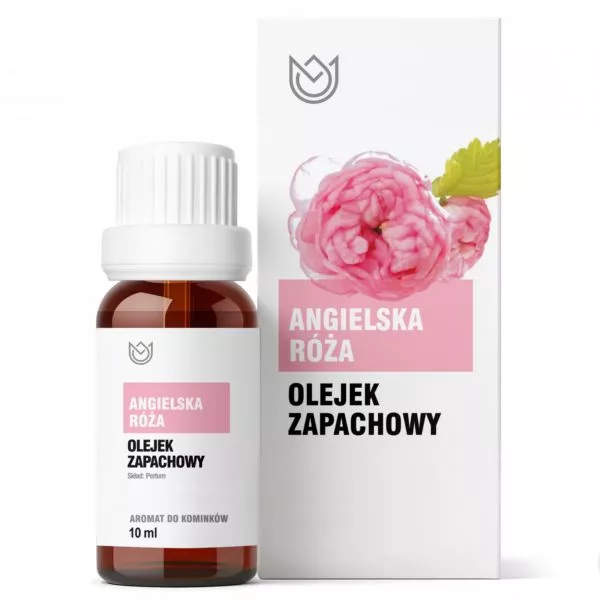 angielska róża